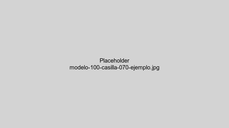 Screenshot ejemplo casilla 070 modelo 100 declaración renta AEAT mostrando sección rendimientos capital inmobiliario con valores ejemplo alquiler turístico